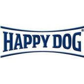  Happy Dog