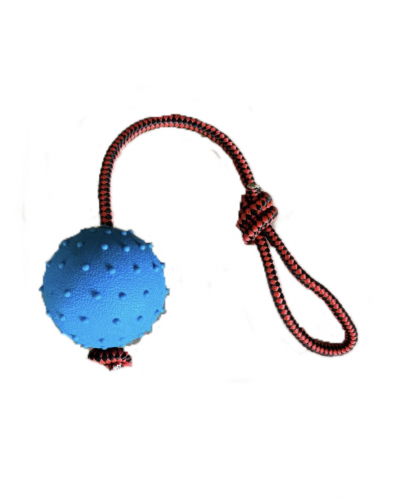 Купить Мяч на веревке  с доставкой по Кыргызстану в интернет зоомагазине animal.kg