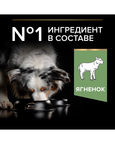 Pro Plan Optidigest сухой корм для взрослых собак средних пород с чувствительным пищеварением, с ягненком, 14 кг.