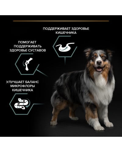 Pro Plan Optidigest сухой корм для взрослых собак средних пород с чувствительным пищеварением, с ягненком, 14 кг.